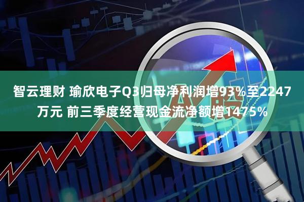 智云理财 瑜欣电子Q3归母净利润增93%至2247万元 前三季度经营现金流净额增1475%